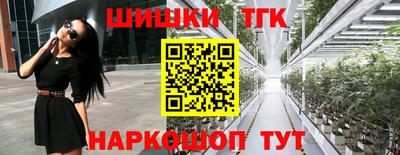 крисы Владикавказ