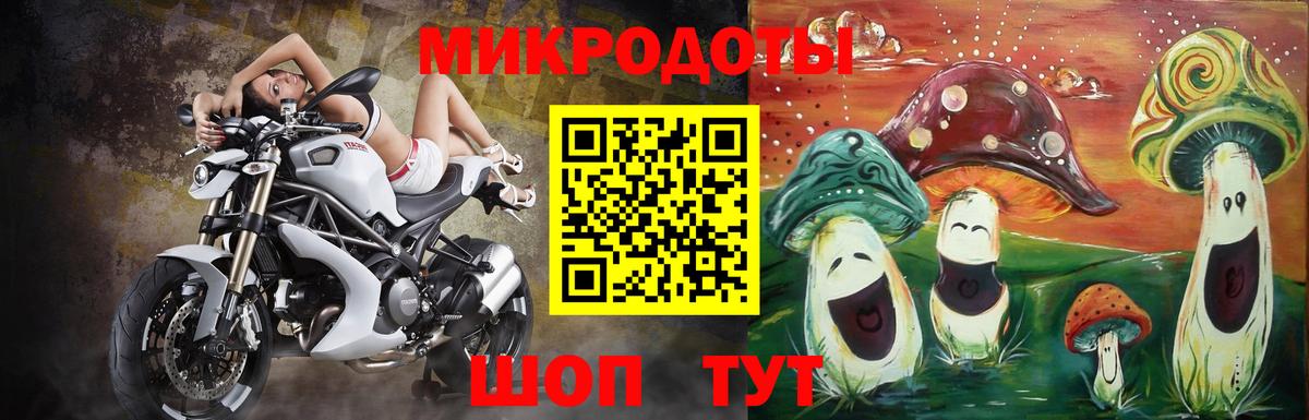 Галлюциногенные грибы MAGIC MUSHROOMS  Вход с VPN  Галлюциногенные грибы мухоморы  Сунжа 
